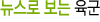뉴스로 보는 육군